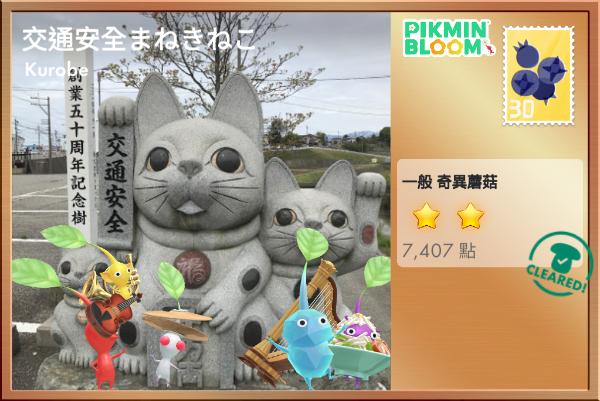 交通安全貓咪
