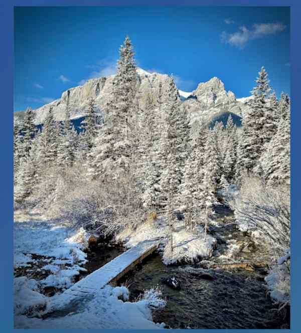 雪景