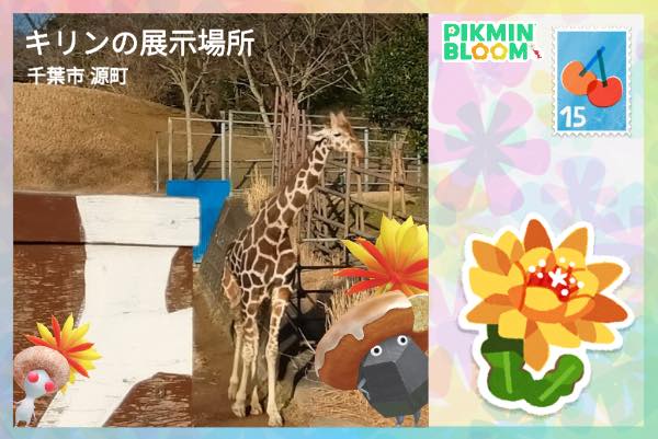 千葉市動物園