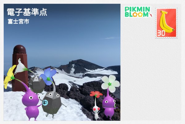 電子基準点