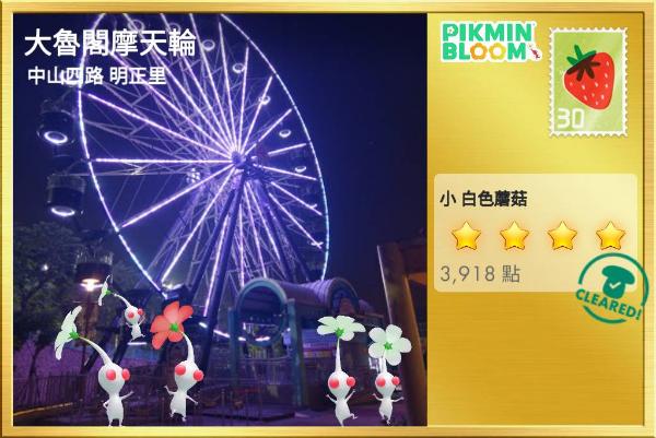 高雄大魯閣摩天輪