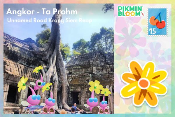 吳哥窟-塔普倫寺Ta Prohm
