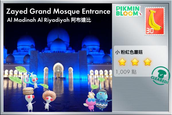 Zayed Grand 清真寺入口