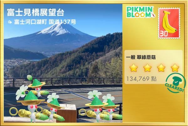 富士見橋展望台