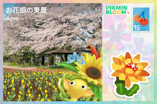 花田裡的涼亭