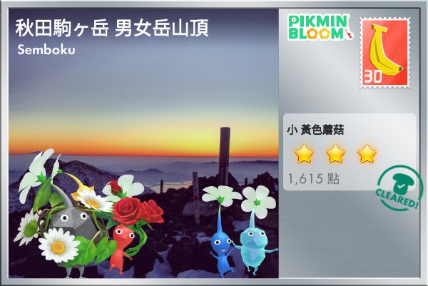 男女岳山頂