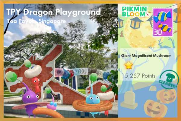 TPY Dragon Playground