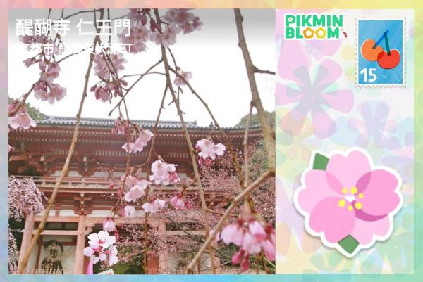 醍醐寺 仁王門