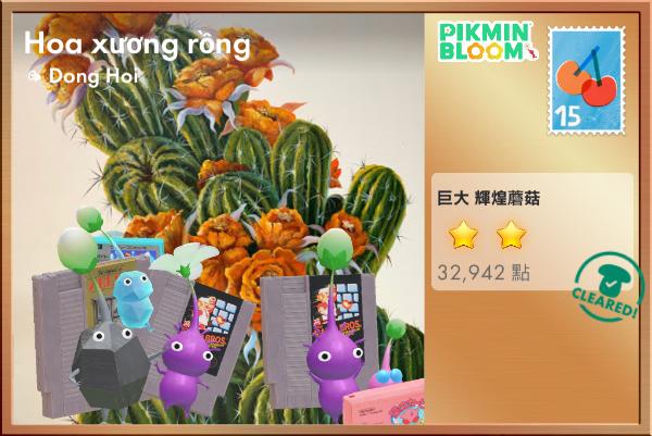 仙人掌