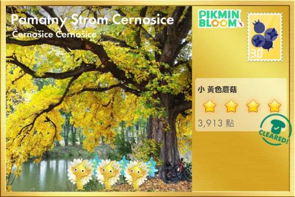捷克國家級百年紀念榆樹