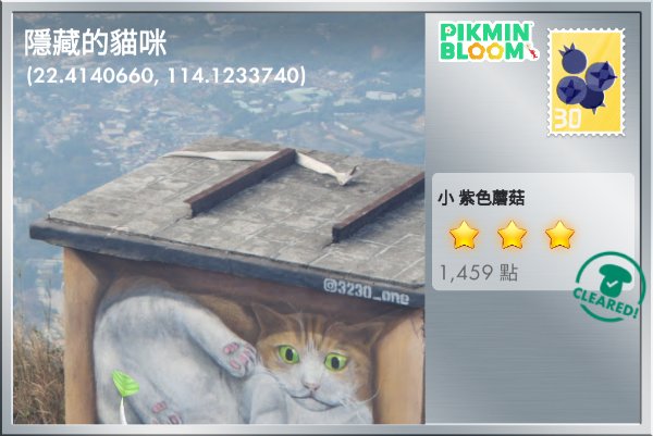 隱藏的貓