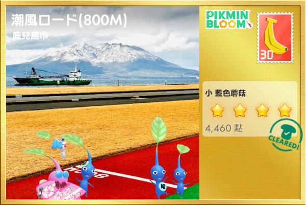 雪山稻田