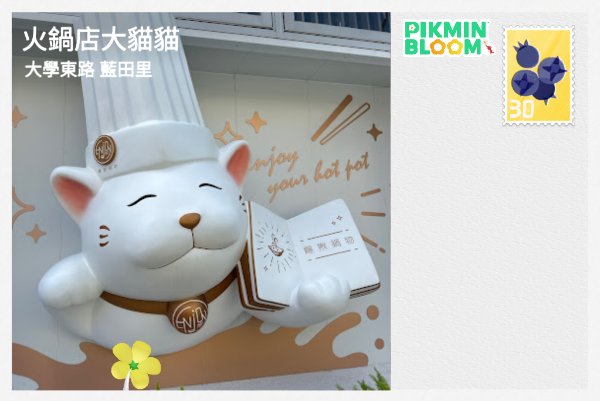 火鍋店大貓貓