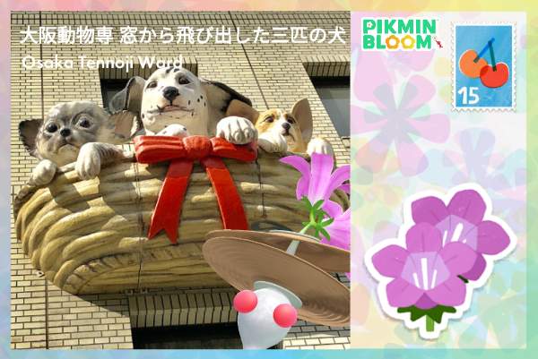 大阪動物專