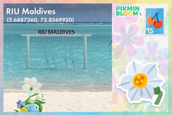 riu maldives 馬爾地夫 RIU 渡假村