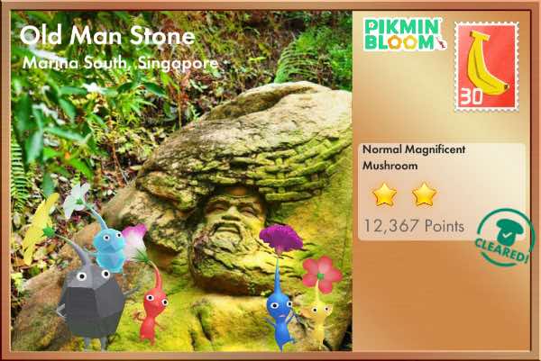 Old Man Stone