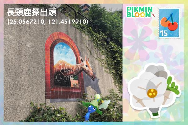 長頸鹿探出頭