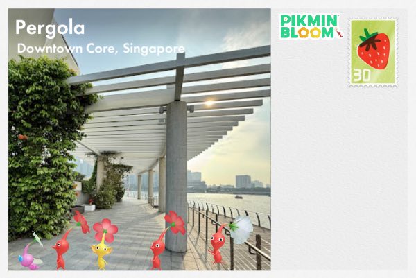 Pergola